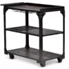 Sherlock Rolling Server Cart -FurniHub Store 810423041 2