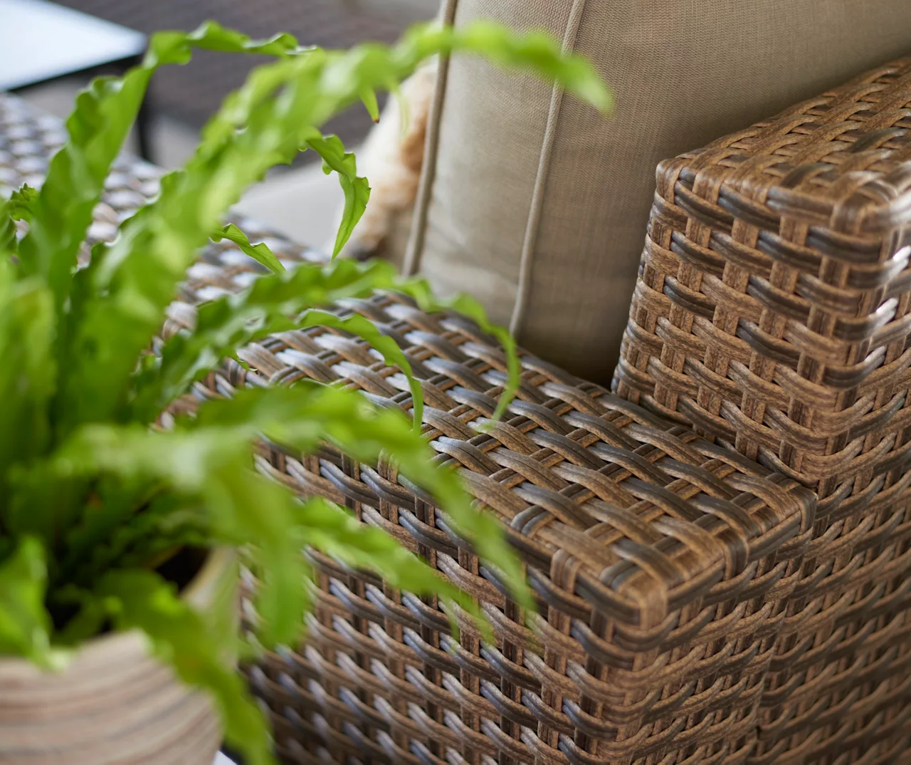 Broyhill Eagle Brooke All-Weather Wicker Cushioned Patio Loveseat 10 Broyhill Eagle Brooke All-Weather Wicker Cushioned Patio Loveseat - Image 8