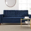 Brookside Tufted Velvet Sofa -FurniHub Store 810527183 1