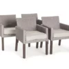 Asheville All-Weather Wicker Cushioned Patio Dining Chairs, 4-Pack -FurniHub Store 810547584