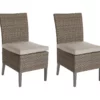Eagle Brooke Tan All-Weather Wicker Cushioned Patio Dining Chairs, 2-Pack -FurniHub Store 810555281