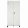 Systembuild Amplus 2-Door Storage Cabinet -FurniHub Store 810591242 3