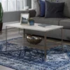 Center City Champagne Oak Coffee Table -FurniHub Store 810628165 B0